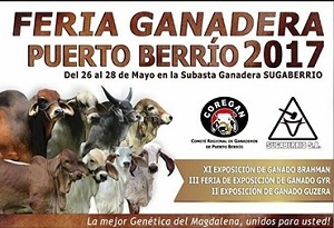 Feria ganadera de Puerto B