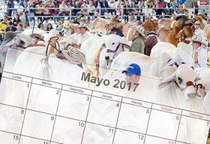 ferias de mayo