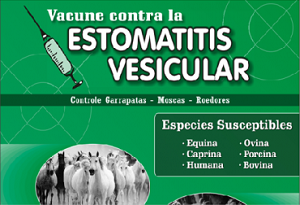 Estomatitis