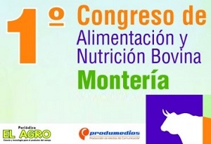 Congreso