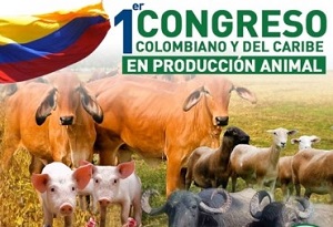 Congreso