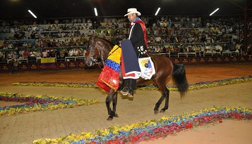 Adiestramiento de caballos