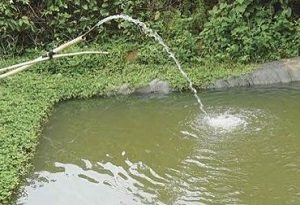 Cosechar agua