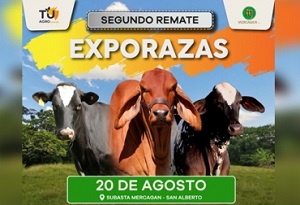 Exporazas