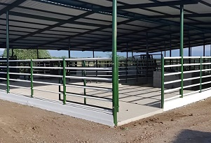 Corral de manejo