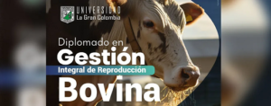 Reproducción bovina