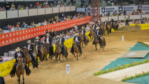 Expointernacional equina