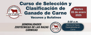 Selección de ganado