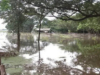 Inundaciones en las fincas. Qué hacer para prevenirlas