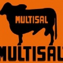 Sal Mineralizada Multisal 8% Bulto por 40 Kls